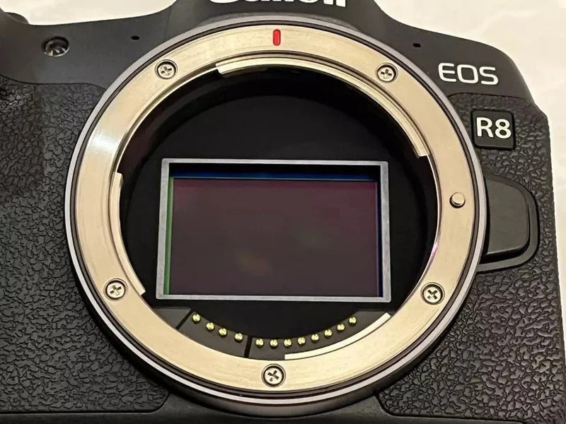 Câmera Canon EOS R8 seminova